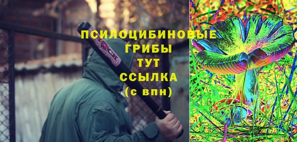 apvp Алзамай