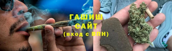 apvp Алзамай