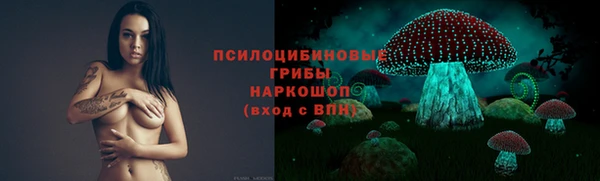 apvp Алзамай