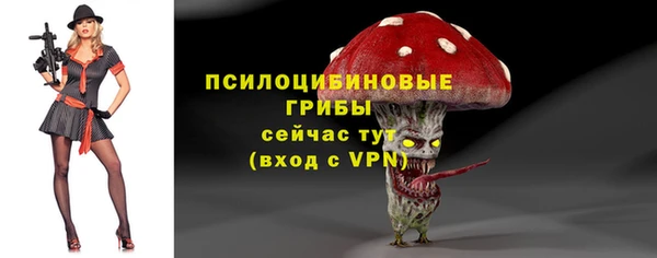 гидра Алексеевка