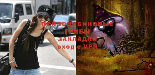 гидра Алексеевка