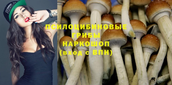 прущий лед Алексин
