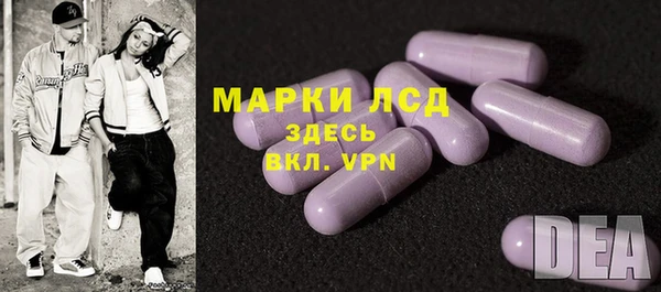 apvp Алзамай