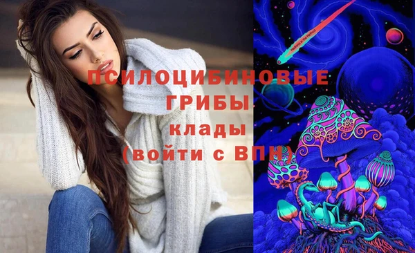 apvp Алзамай