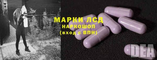 гидра Алексеевка