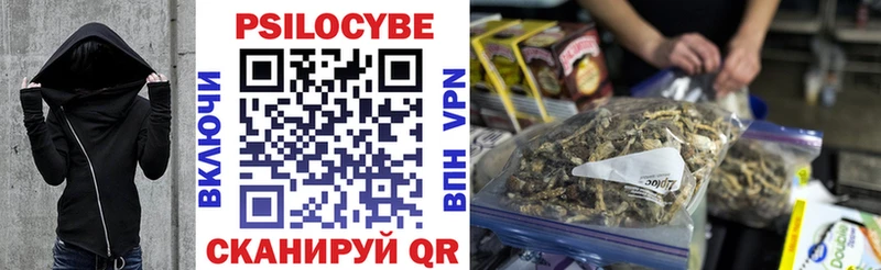блэк спрут ССЫЛКА хочу наркоту Дегтярск Галлюциногенные грибы мицелий